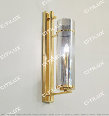 New Chinese Stainless Steel Glass Tube Wall Light Citilux