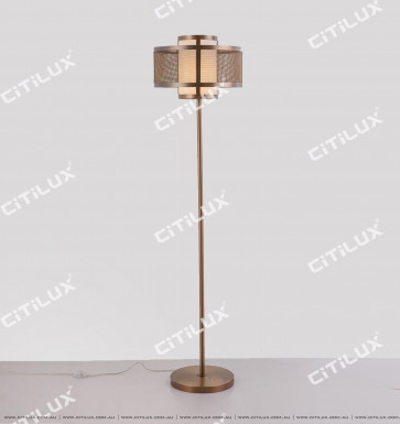 Chinese Stainless Steel Mesh Floor Lamp Citilux