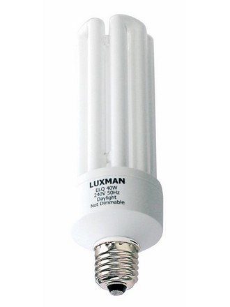 240V 30W BC Globe CFL 4U Fluorescent Bulb 12000 Hours CLA Lighting
