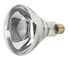 240V Heat Bulb CLA Lighting