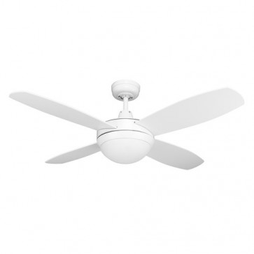 Brisk 42" Ceiling Fan and Light Domus Lighting