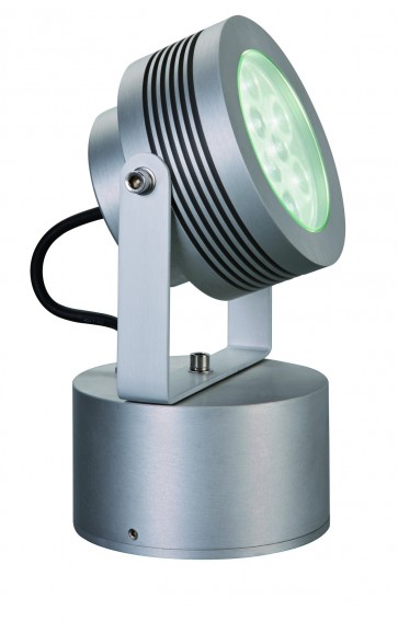 Evergreen Spot Light in Black Evergreen LED Lighting