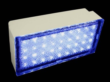 LED Inground Brick Paver / Deck Light Evergreen LED Lighting