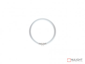22W Cool White T5 Circular Fluorescent 2 Pins Each Side VBL