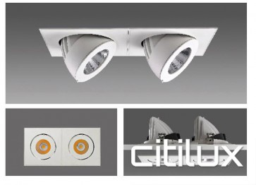 Firelux 2 Lights LED Recessed Downlights