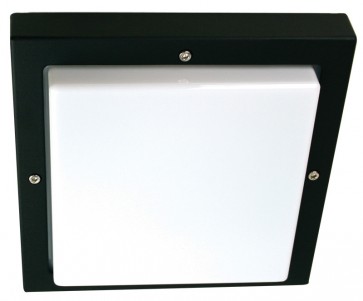Bassi Two Light Square Bulkhead Wall Light Oriel