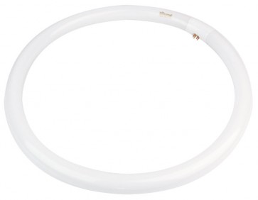 FCL T9 40W Triphos Circular Tube Oriel