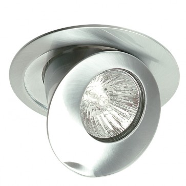 Snorkel Adjustable Downlight in Brushed Chrome Oriel