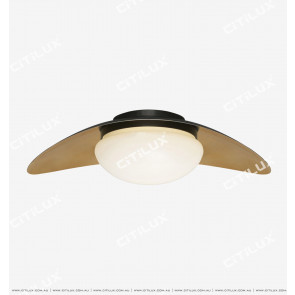 Simple Copper Bead Single-Headed Ceiling Light Citilux