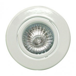 Floating Ring Low Voltage Downlight Tech Lights