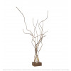 Copper Growth Tree Shadow Single Head Floor Lamp Citilux