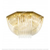 Modern Transparent Curved Glass Ceiling Lamp Citilux